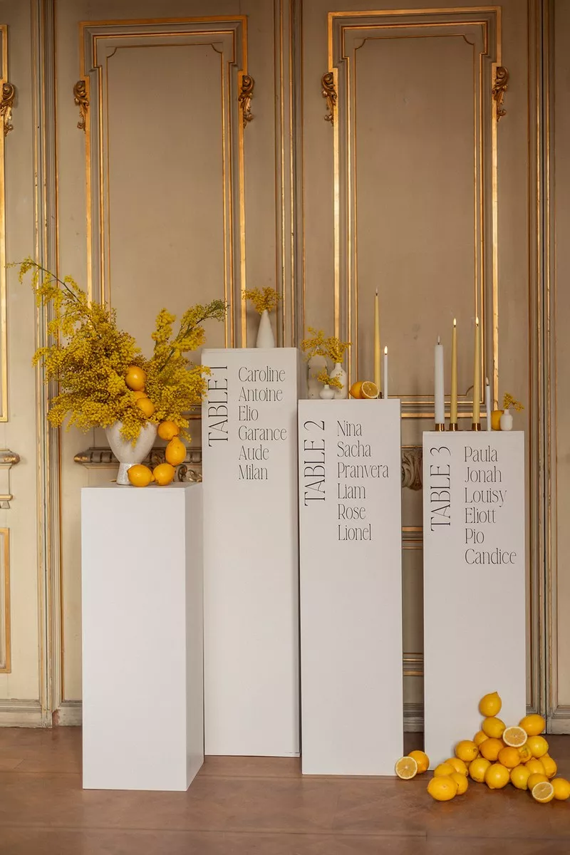 mariage-inspiration-mimosa-chateau-burrus-haut-rhin-lucilekphotography (6)