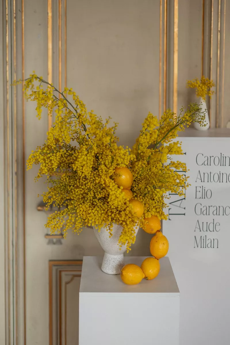 mariage-inspiration-mimosa-chateau-burrus-haut-rhin-lucilekphotography (8)