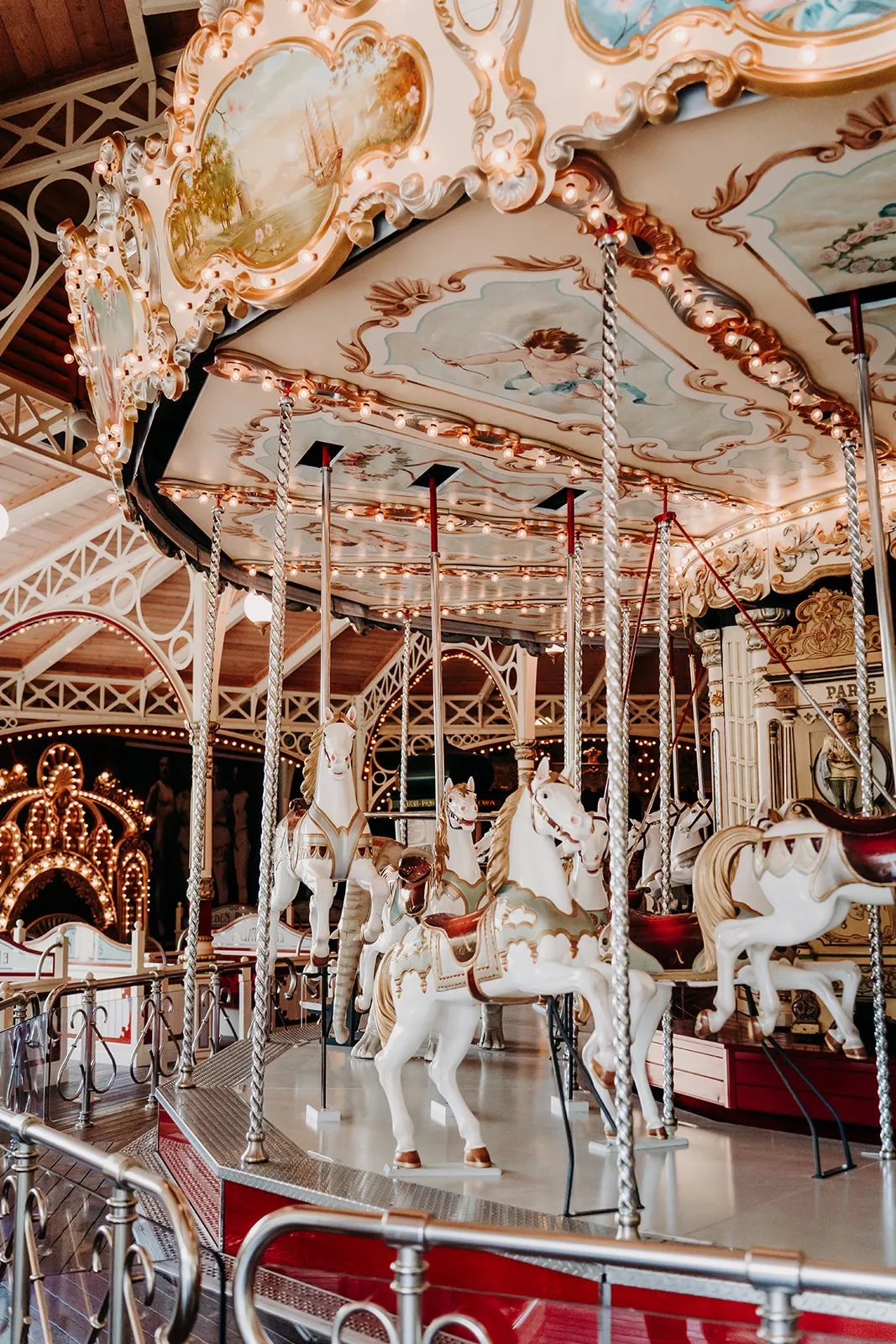 mariage-parc-d-attractions-nigloland-thewildstrawberry (21)