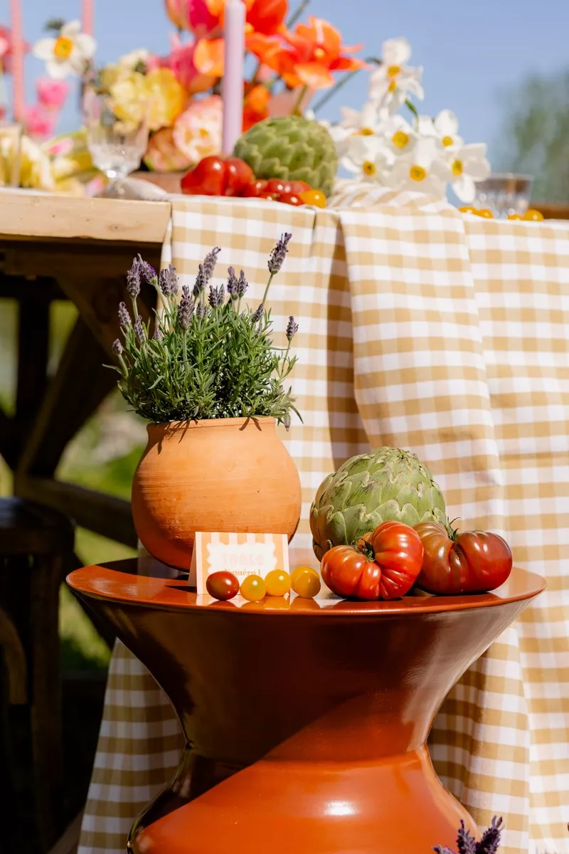 mariage-coloré-bords-de-loire-nantes-loumie-photographie (32)