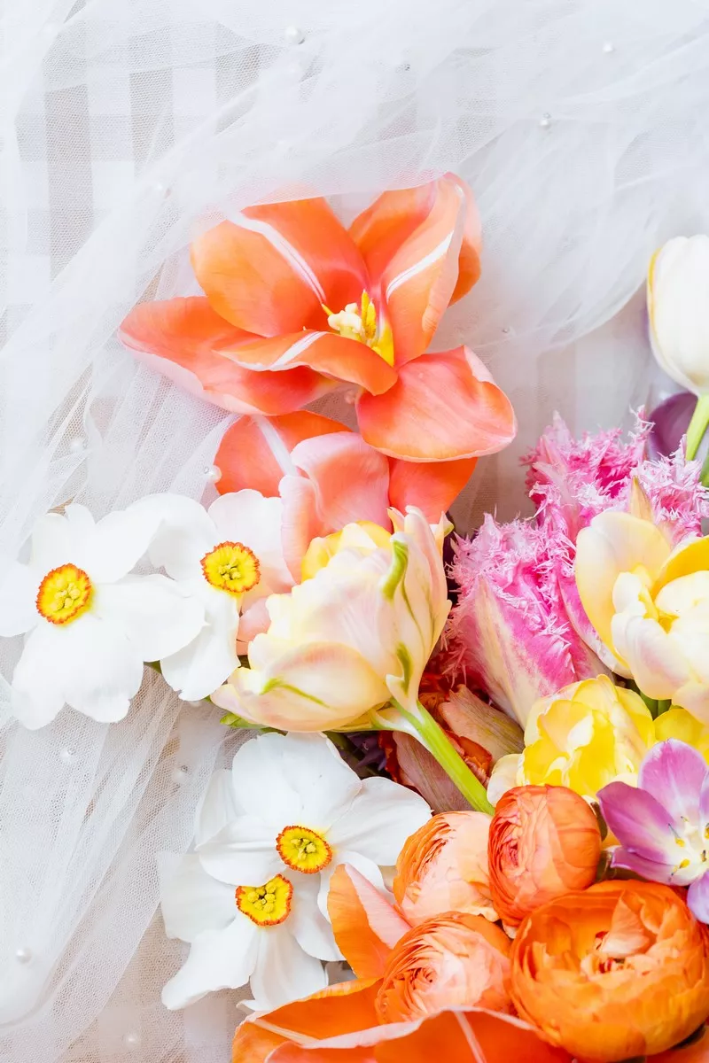 mariage-coloré-bords-de-loire-nantes-loumie-photographie (4)