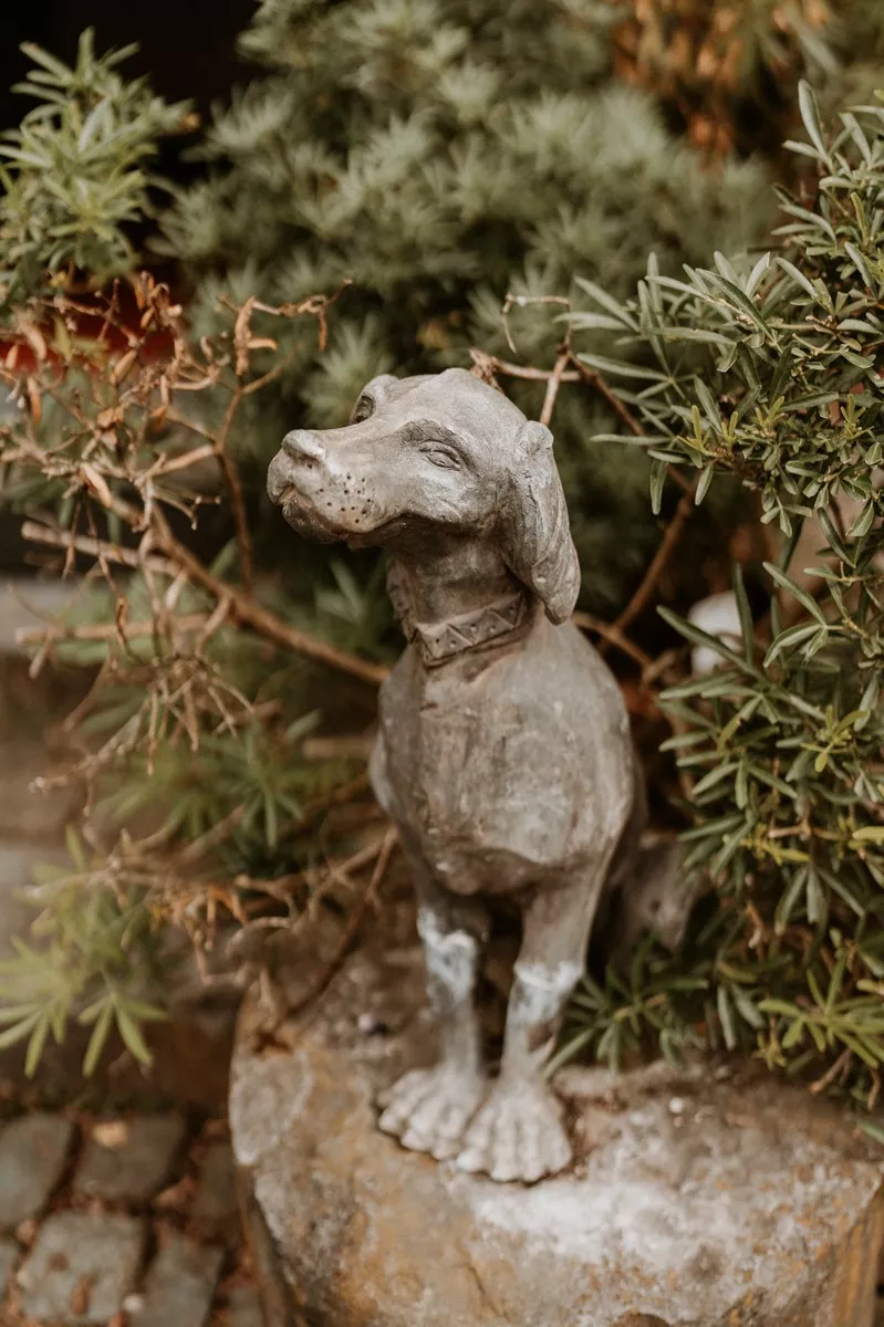 mariage-coloré-ferme-de-balingue-belgique-stephane-joly-photographe (3)