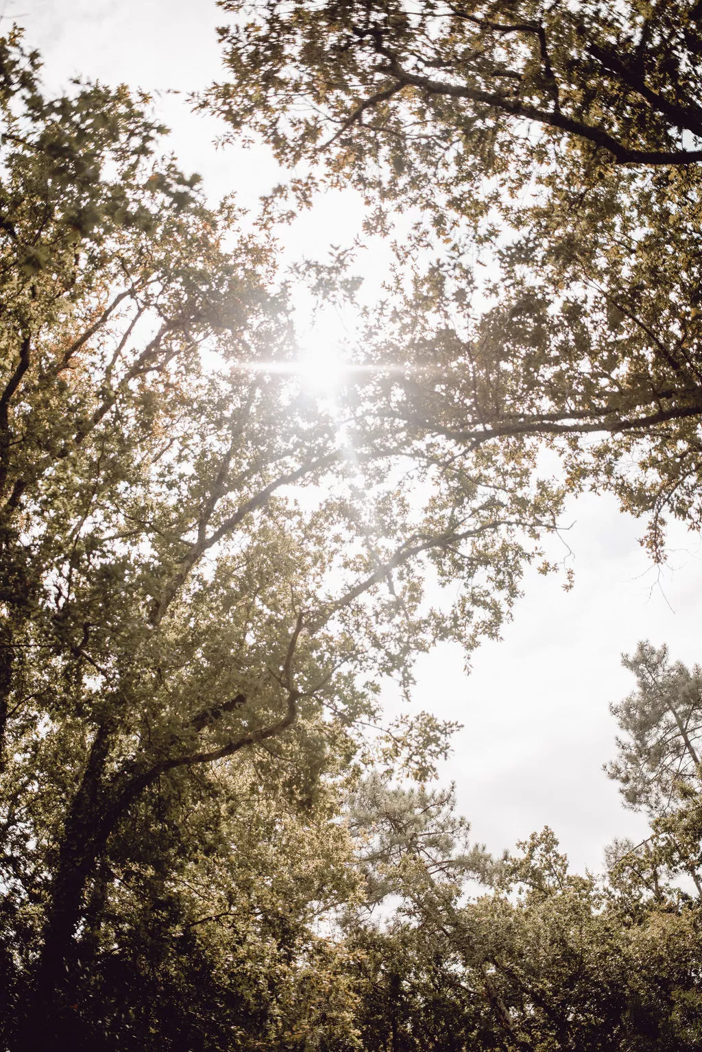mariage-intimiste-arcachon-rebecca_claire_photography (2)
