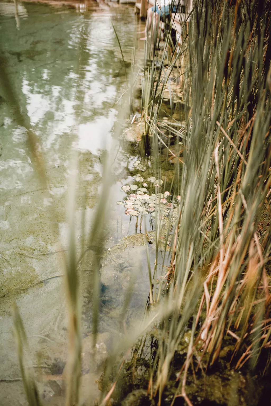 mariage-intimiste-arcachon-rebecca_claire_photography (6)