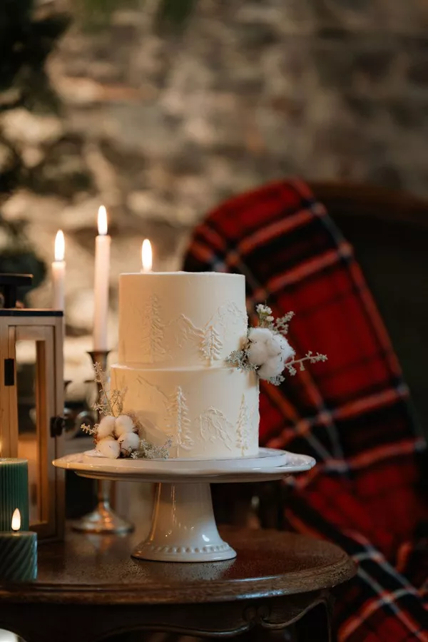 mariage-noel-traditionnel-la-javerniere-camillelaurentphoto (35)