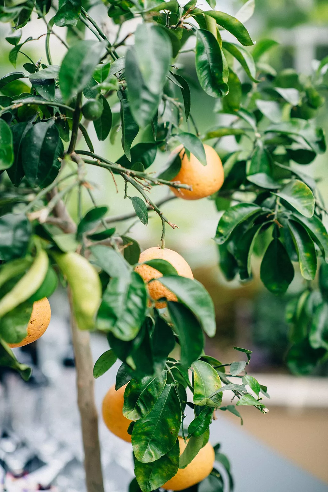 mariage-rose-chic-vannes-mezo-stephaneleludec (38)