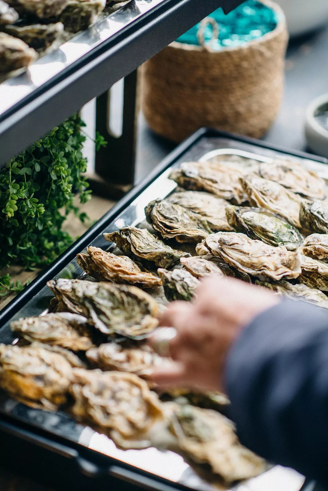 mariage-rose-chic-vannes-mezo-stephaneleludec (44)