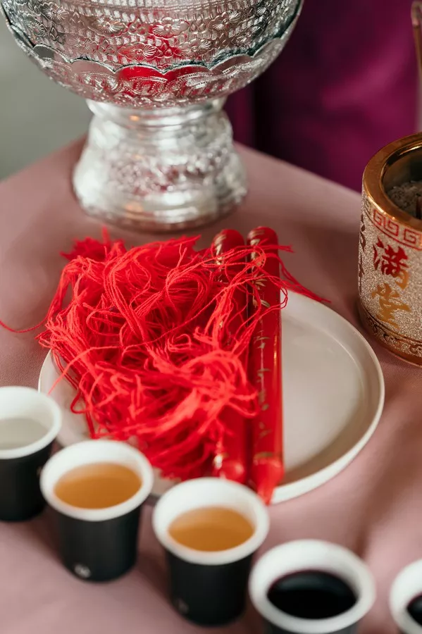 mariage-rose-finsitere-bretagne-sophiedelachouephotographie (52)