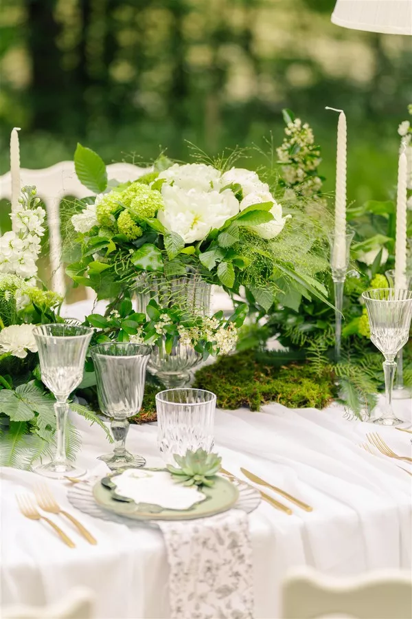mariage-vegetal-etangs-des-vignes-vallée-de-la-loire-aurorepouponphotographie (13)