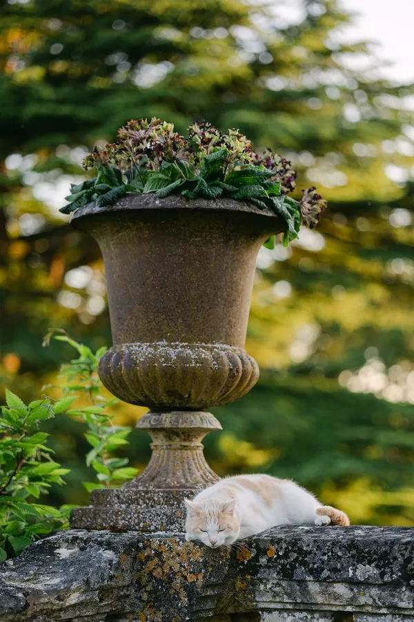 mariage-vert-luxe-chateau-de-la-bourdaisiere-chloeldn (23)