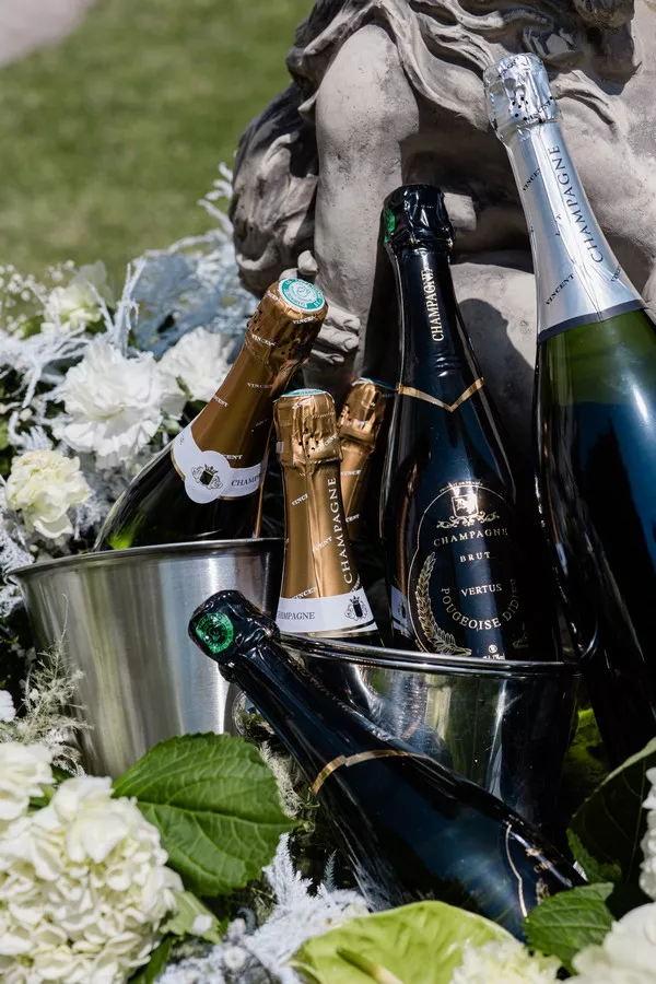 inspiration-mariage-nature-luxe-chateau-de-chazelles-haute-loire-aliciaserraphotography (29)