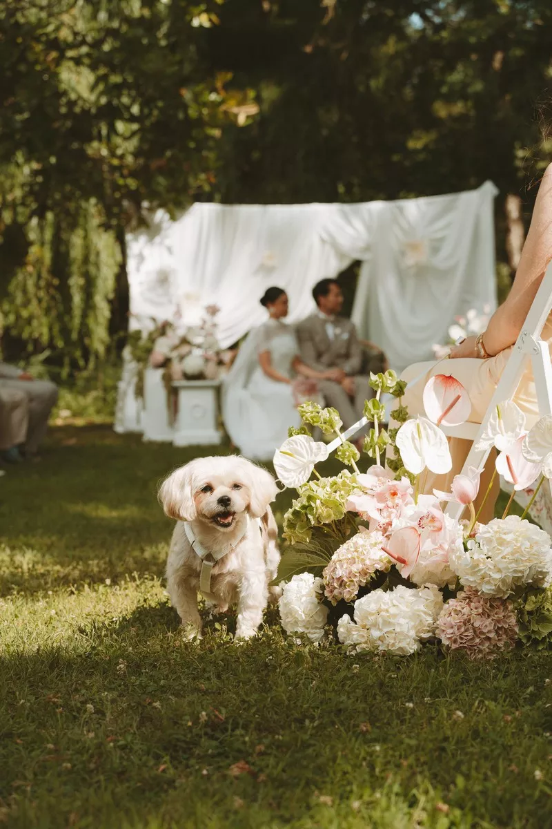 mariage-chic-rose-et-vert-moulin-de-launoy-©visualsdinapoli (18)