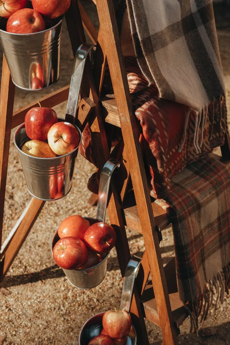 mariage-inspiration-equitation-pays-de-la-loire-deborah-pl-photographe (44)