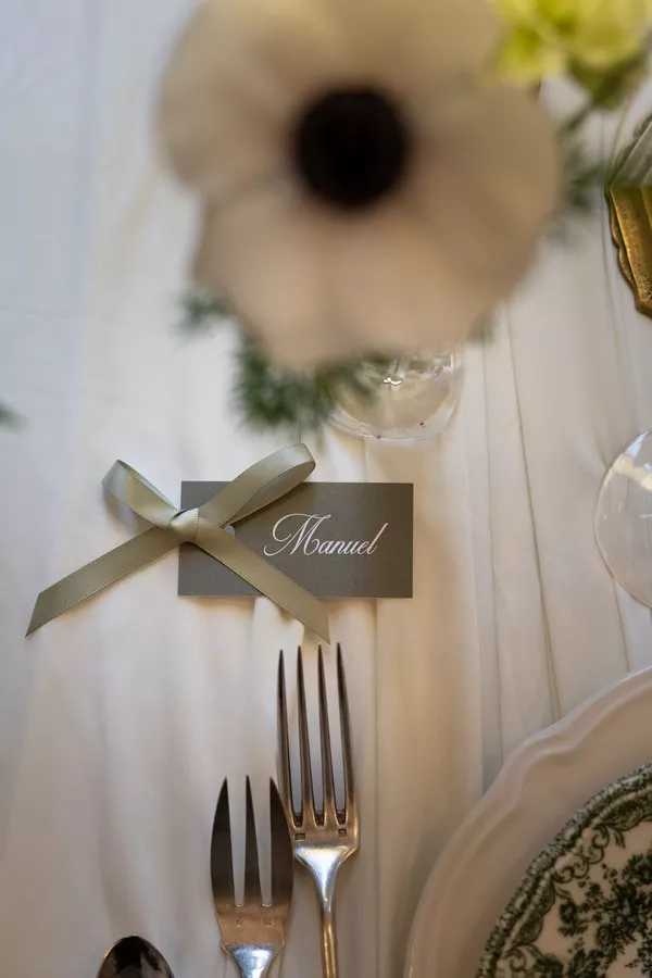 inspiration-bridgerton-hiver-vert-sauge-julimmortalise (38)