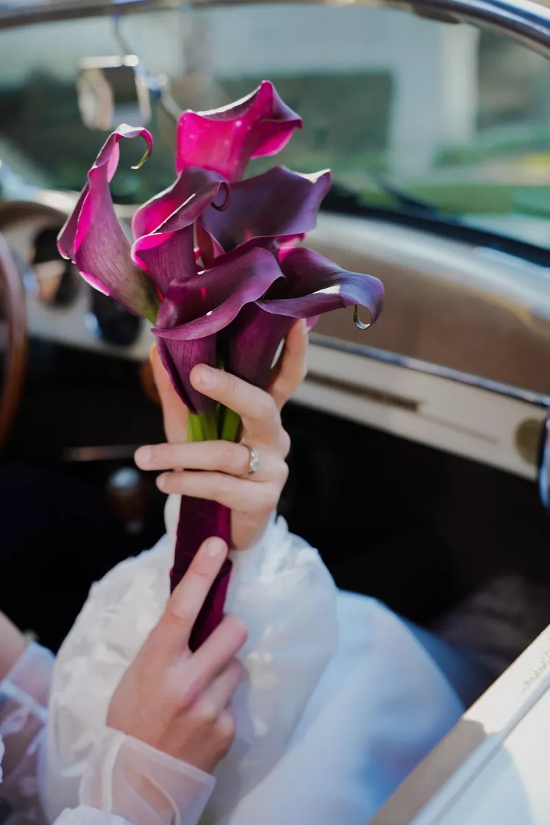 inspirations-carmin-bordeaux-domaine-de-canaille-provence-bella-vita ©naekovi-studio (5)