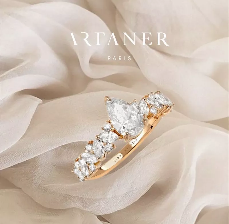 maison-artaner-paris-alliances