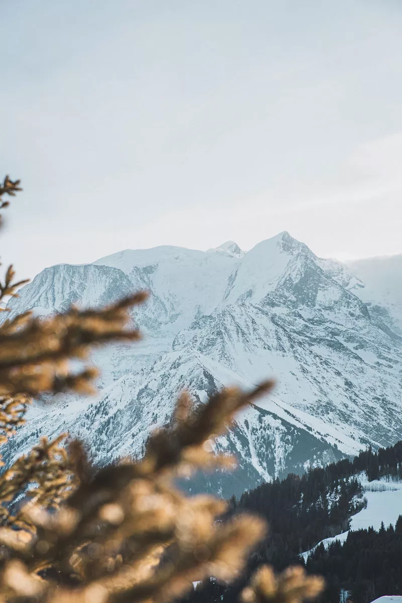mariage-raffiné-avec-vue-sur-le-Mont-Blanc- ©megane-defontaine-photographe (2)