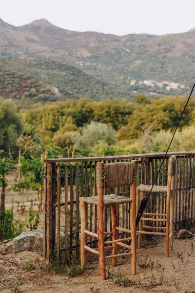 bar-vue-vignes-Para-Event-mariage-Corse ©MagaliCancel