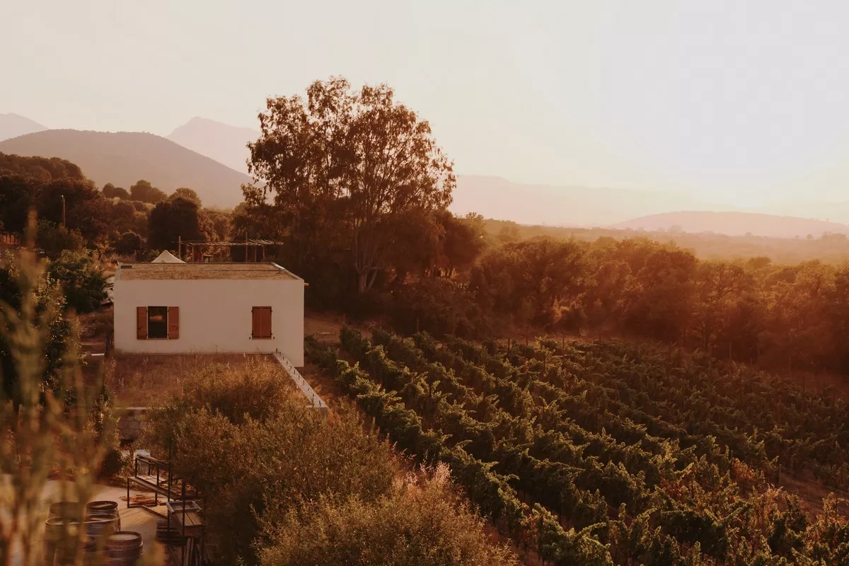vue-vignes-mer-para-event-cose ©melissa-guillaumin