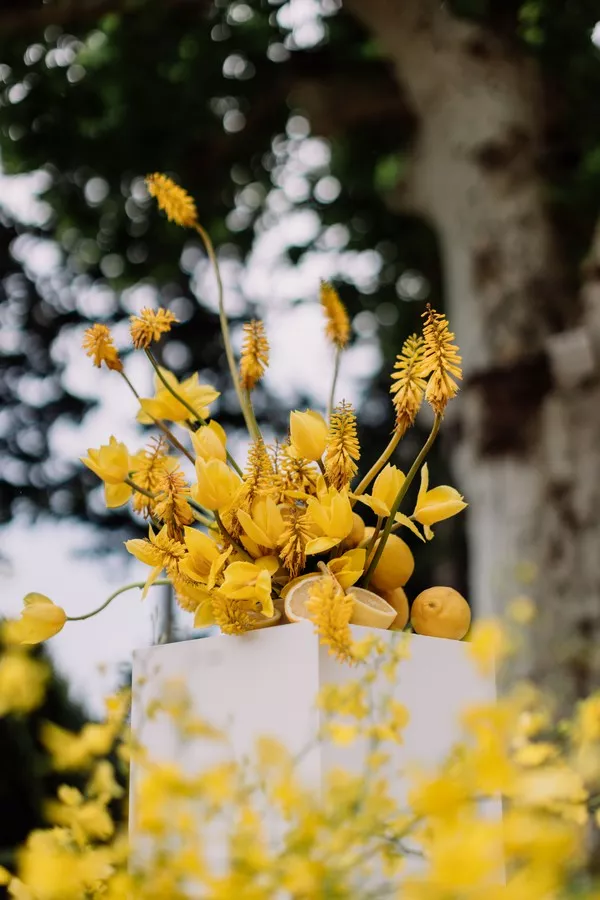 mariage-coloré-orange-et-jaune ©Les bandits (11)